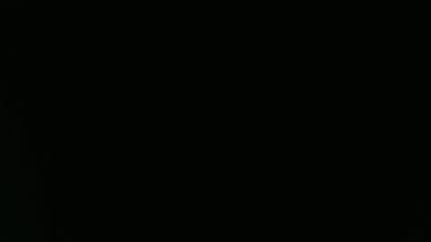 Aurora Willows online show from April 12, 4:32 pm