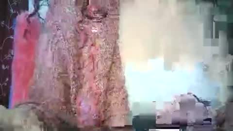 Lilu online show from February 15, 9:41 am