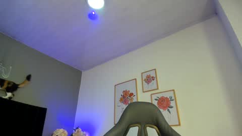 Snapshot of _aliice_1 chatting on January 17, 7:49 pm  Alice  online show from January 17, 7:49 pm