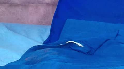 Any online show from October 5, 11:21 pm