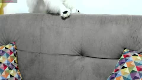 Snapshot of _antomouth_paradise chatting on March 4, 9:51 am antonia online show from March 4, 9:51 am