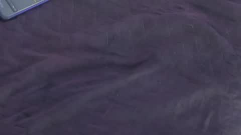 Snapshot of _aurora18 chatting on February 28, 2:09 pm Aura online show from February 28, 2:09 pm