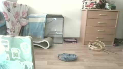 Scarlett online show from June 26, 11:55 am