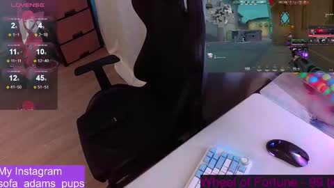 pups online show from February 28, 2:38 pm