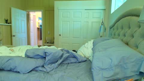 Ada Lovelace online show from February 3, 12:43 am