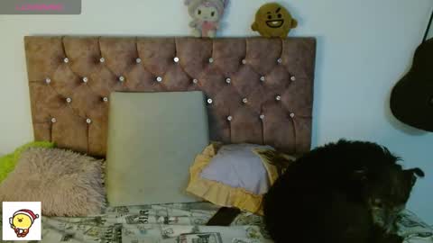 Cris owo online show from January 6, 1:09 am