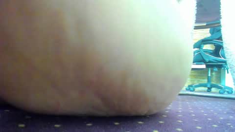 Aisha online show from February 18, 5:17 am