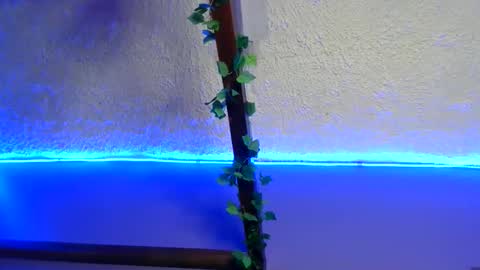 Snapshot of ajcharms chatting on November 1, 5:00 am ajcharms online show from November 1, 5:00 am