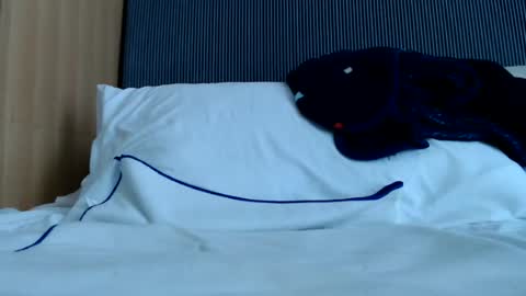 Nicha online show from June 13, 6:33 am