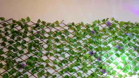 alice_rous21 online show from September 30, 1:50 pm