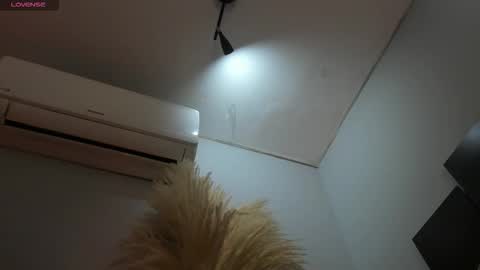 ALICE  online show from November 25, 2:58 am