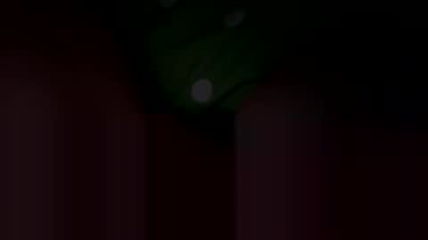 Ali Roxy online show from January 13, 10:25 am