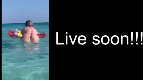 Allie online show from November 7, 6:19 am