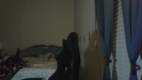 ally12334 online show from November 5, 2:28 am