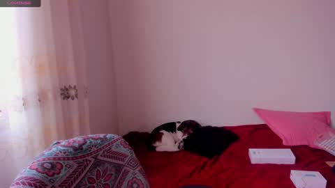 . .  online show from December 9, 6:46 pm