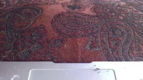 amileamariestar online show from March 12, 1:51 pm