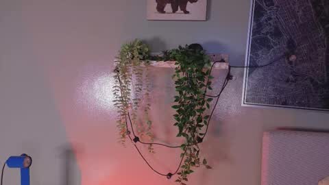 Kendra  online show from February 20, 10:17 am