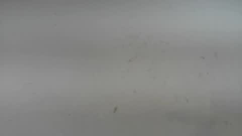 ivanna online show from April 6, 4:01 am