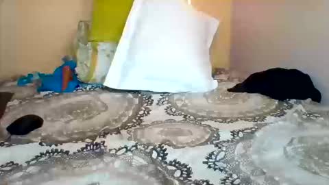 FLORAH DANIEL online show from September 23, 4:54 am