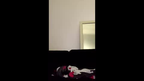 asya_new online show from October 10, 7:30 pm