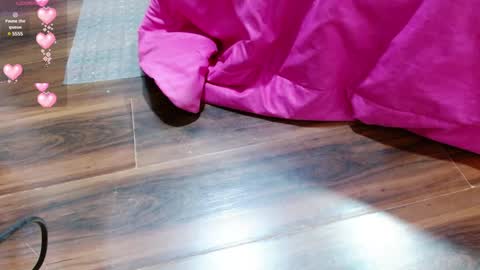 Snapshot of aurora_blossom__ chatting on January 23, 12:41 pm Aurora online show from January 23, 12:41 pm