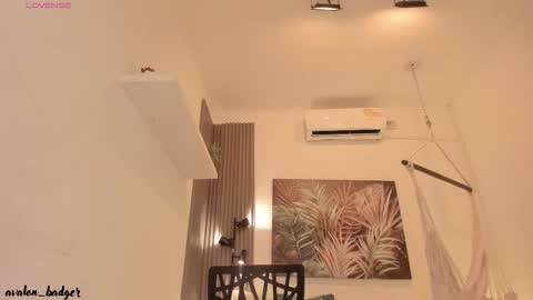 Snapshot of avalon_badger chatting on September 27, 9:22 pm Avalon online show from September 27, 9:22 pm