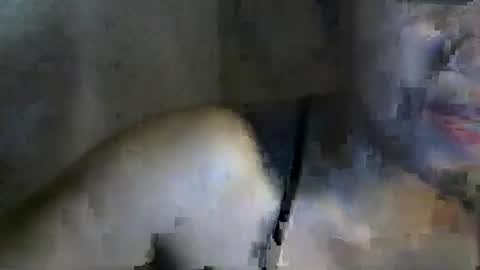 I am Zai online show from March 2, 4:39 am