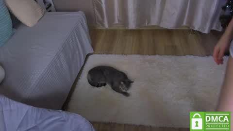 Lourel  I will be here on  and   online show from January 4, 5:16 pm