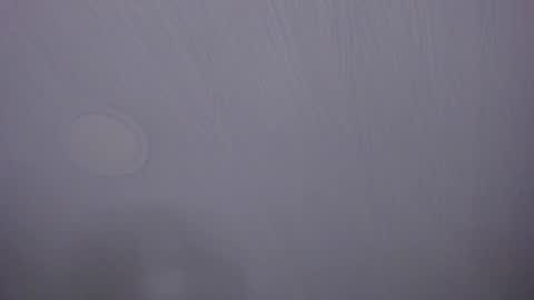   online show from April 7, 10:06 am