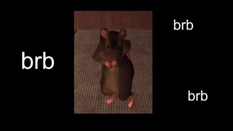  Black Kittie    Wednesday - 1300 - 1900 GMT help me get 100 thumbs up online show from March 3, 7:59 am