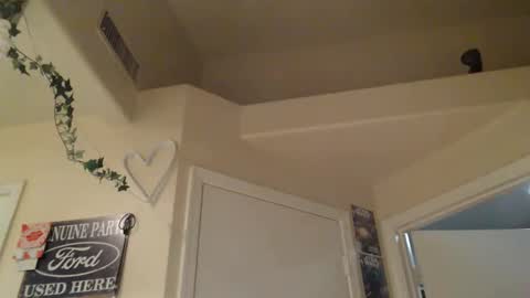 i am a naughty jedi knight online show from March 7, 6:42 am