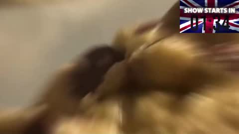 Lady Annabelle Montgomery online show from December 17, 6:31 pm