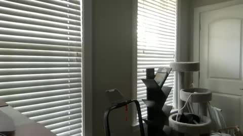 Snapshot of brookenicole3 chatting on September 21, 12:48 pm Madam Brooke online show from September 21, 12:48 pm
