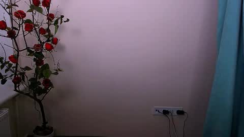 Ariel online show from October 21, 4:05 am