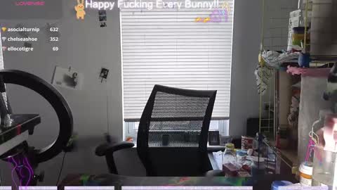 Tokki  bunny  online show from December 4, 6:06 pm