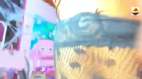 BARBYCHOCOLAT online show from November 9, 10:05 pm