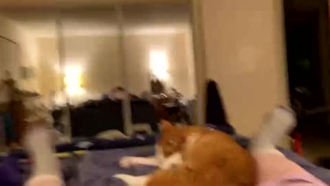 busty_2008 online show from March 5, 5:47 am