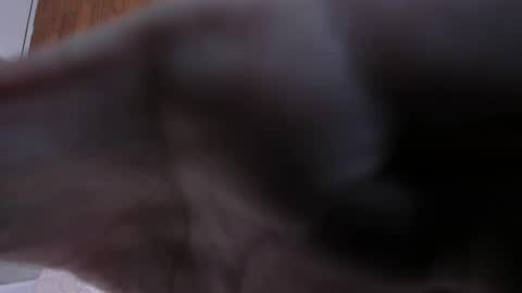 camilaa_smith_ online show from April 2, 7:55 pm