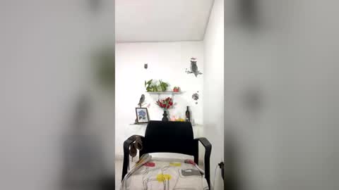 sofia perez online show from July 14, 3:06 pm