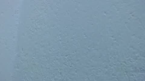 carolina_zabala_19 online show from February 8, 10:01 pm