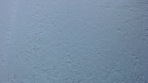 carolina_zabala_19 online show from March 21, 5:51 pm