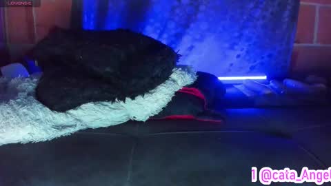 Cata Angel online show from March 16, 5:44 am