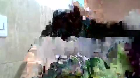 Celeste online show from February 22, 11:10 pm