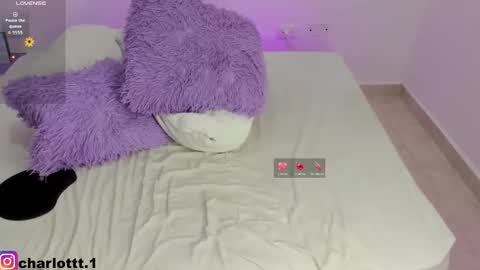 charlott online show from November 19, 4:01 am