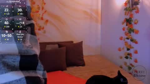 Snapshot of cherryblossomm1 chatting on October 30, 1:41 am cherryblossomm1 online show from October 30, 1:41 am