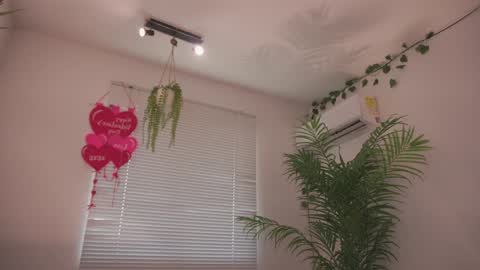 ROSELL 3   online show from February 20, 8:31 pm