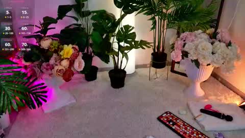 Sonya online show from December 4, 12:02 am