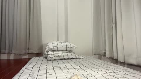 mika online show from November 29, 5:50 pm