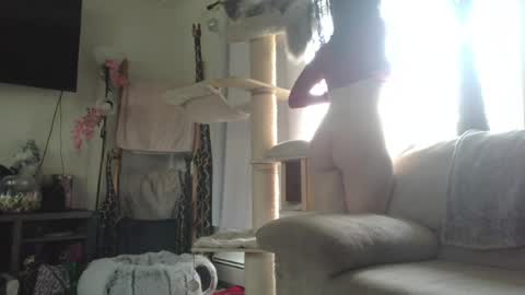 cutekitty955134 online show from August 6, 4:47 pm
