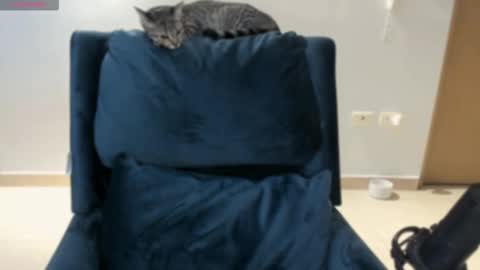 cyborgmuse online show from October 17, 5:10 am